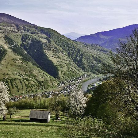 Dream Hostel Carpathians רחיב מראה חיצוני תמונה