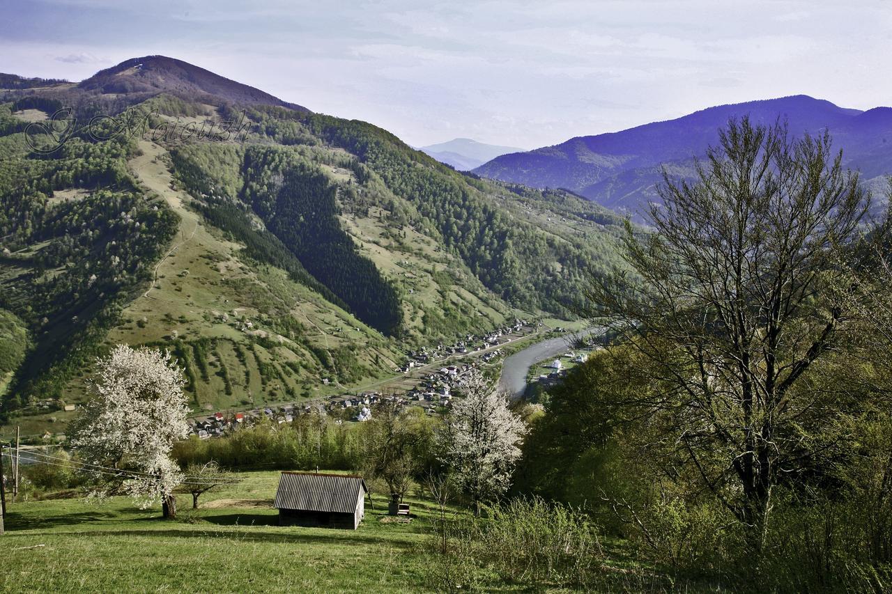 Dream Hostel Carpathians רחיב מראה חיצוני תמונה